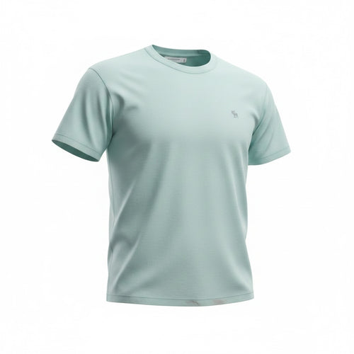 picknpack Abercrombie & Fitch mint green short sleeve crewneck t-shirt in soft cotton with a small chest logo.