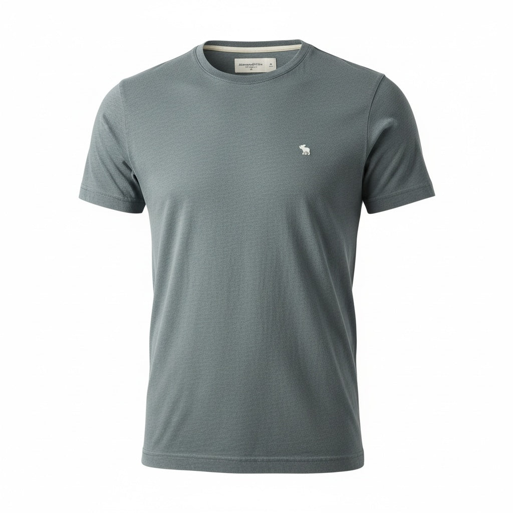 picknpack Abercrombie & Fitch slate grey crew neck t-shirt with small embroidered logo on chest