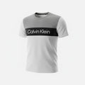 picknpack Calvin Klein tri-tone color-blocked crew neck t-shirt with chest logo in grey, white, and black