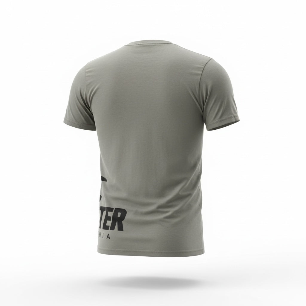 picknpack olive green Hollister short sleeve crew neck t-shirt with black graphic detail on the back hem